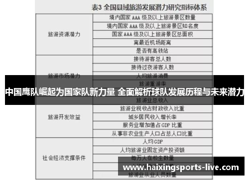 中国鹰队崛起为国家队新力量 全面解析球队发展历程与未来潜力